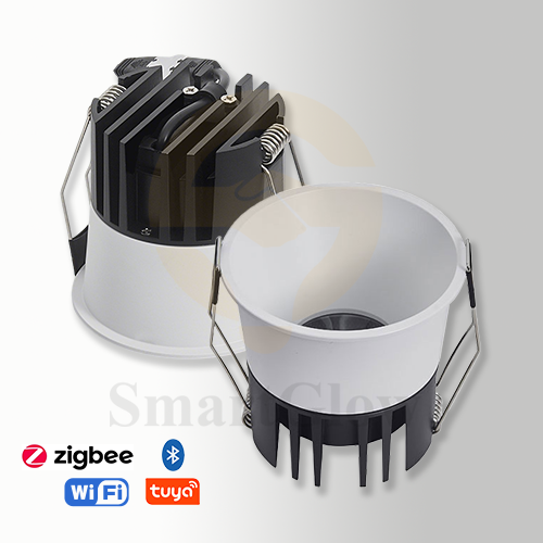 【SG858】2-inch Small Round Fixed Matte Black Canless Recessed Mini Led Spotlight