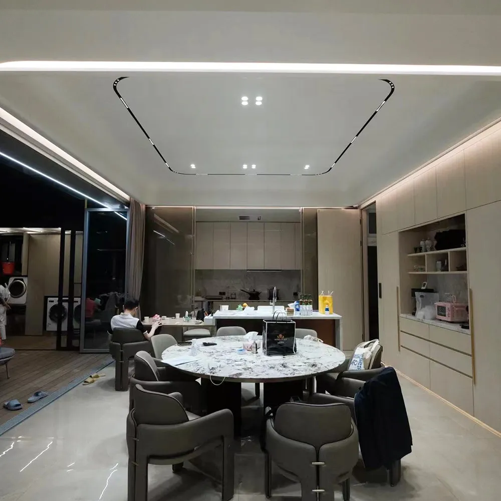 magnetic track lighting system
