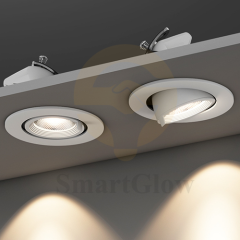 【SG895】Modren Gimbal Recessed Led Lighting Smart Adjustable Recessed Spotlight for Museums