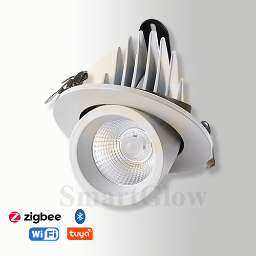 【SG895】Modren Gimbal Recessed Led Lighting Smart Adjustable Recessed Spotlight for Museums