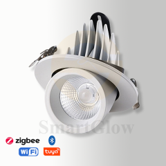 【SG895】Modren Gimbal Recessed Led Lighting Smart Adjustable Recessed Spotlight for Museums