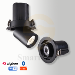 【SG897】5W-30W 4 Inch Gimbal Led Recessed Can Lighting Smart Trimless Adjustable Led Spotlight