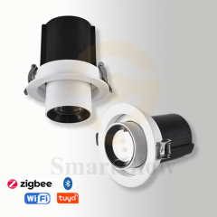 【SG897】5W-30W 4 Inch Gimbal Led Recessed Can Lighting Smart Trimless Adjustable Led Spotlight