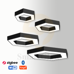 【SG512】16-inch Commercial LED Hexagonal Round Hanging Pendant Light, Wattage AndCCT Selectable, White & Black
