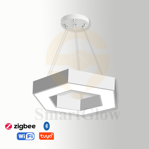 【SG512】16-inch Commercial LED Hexagonal Round Hanging Pendant Light, Wattage AndCCT Selectable, White & Black