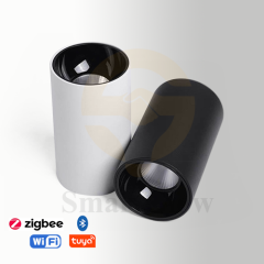 【SG701】2.2-inch COB Surface Mount Black/White Cylinder LED Downlights