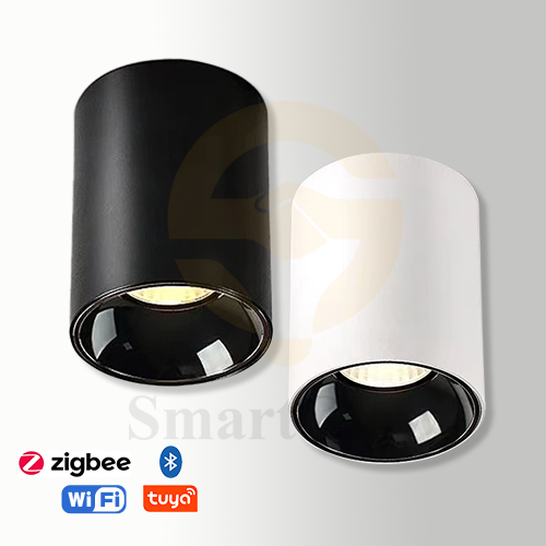 【SG701】2.2-inch COB Surface Mount Black/White Cylinder LED Downlights