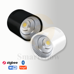 【SG703】2.3-inch Surface Mounted Fixed Aluminium Cylindrical Anti Glare Led Downlight