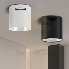 【SG703】2.3-inch Surface Mounted Fixed Aluminium Cylindrical Anti Glare Led Downlight