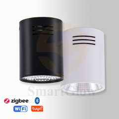 【SG703】2.3-inch Surface Mounted Fixed Aluminium Cylindrical Anti Glare Led Downlight