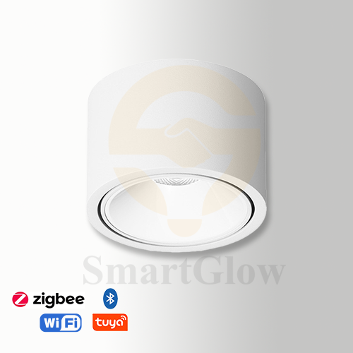 【SG704】3-inch Black/White Adjustable Ceiling Surface Mounted Type LED Downlight