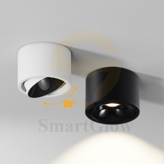 【SG704】3-inch Black/White Adjustable Ceiling Surface Mounted Type LED Downlight