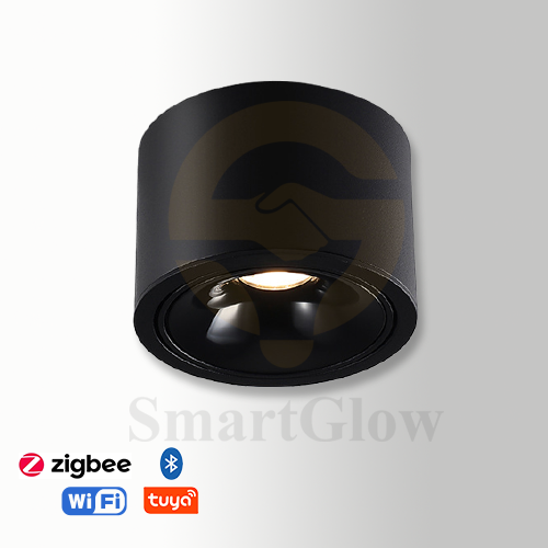 【SG704】3-inch Black/White Adjustable Ceiling Surface Mounted Type LED Downlight