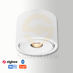 【SG706】3.7-inch Adjustable Surface Mounted Commercial Cylindrical Anti Glare LED Downlights
