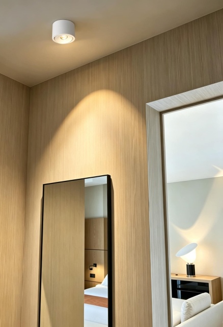 【SG706】3.7-inch Adjustable Surface Mounted Commercial Cylindrical Anti Glare LED Downlights