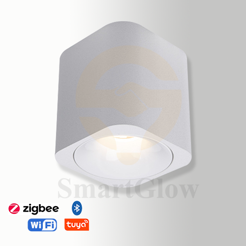 【SG711】3-inch Square Ceiling Surface Mounted Commercial Directional COB Led Downlight