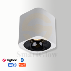 【SG711】3-inch Square Ceiling Surface Mounted Commercial Directional COB Led Downlight