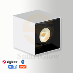 【SG712】2.3-inch Commercial Square White Ceiling Surface Mounted Adjustable LED Downlight