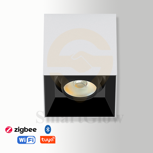 【SG712】2.3-inch Commercial Square White Ceiling Surface Mounted Adjustable LED Downlight