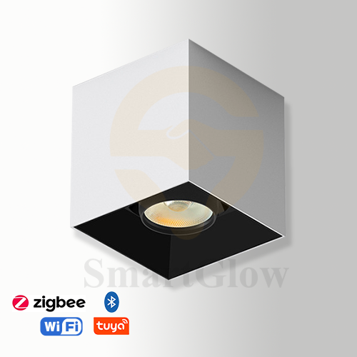 【SG712】2.3-inch Commercial Square White Ceiling Surface Mounted Adjustable LED Downlight