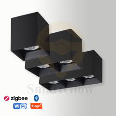 【SG716】Commercial Single/Double/Triple Head Ceiling Square Surface Mounted LED Downlight