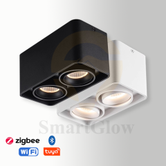 【SG717】4-inch Multi-head Adjustable Ceiling Square Surface Mounted LED DownLights