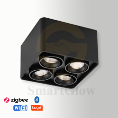 【SG717】4-inch Multi-head Adjustable Ceiling Square Surface Mounted LED DownLights