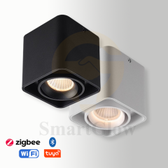 【SG717】4-inch Multi-head Adjustable Ceiling Square Surface Mounted LED DownLights