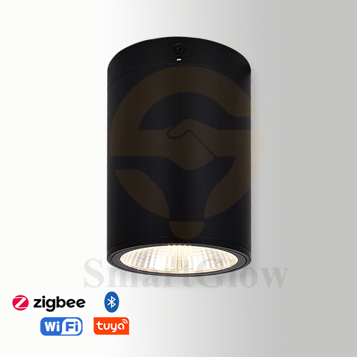 【SG718】3-inch Aluminium Cylindrical Ceiling Surface-Mounted LED Downlight