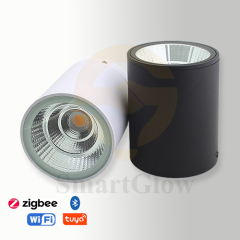 【SG718】3-inch Aluminium Cylindrical Ceiling Surface-Mounted LED Downlight