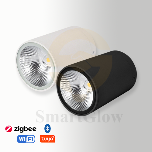 【SG718】3-inch Aluminium Cylindrical Ceiling Surface-Mounted LED Downlight