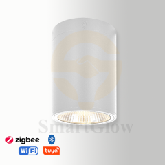 【SG718】3-inch Aluminium Cylindrical Ceiling Surface-Mounted LED Downlight