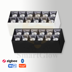 【SG724】Multi-head White/Black with Reflector Surface Mounted Rectangle LED Downlight