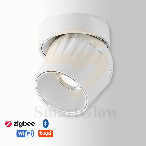 【SG725】3.1-inch Commercial Adjustable Round Ceiling Surface Mounted LED Spotlight