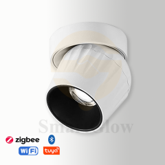 【SG725】3.1-inch Commercial Adjustable Round Ceiling Surface Mounted LED Spotlight