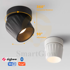 【SG725】3.1-inch Commercial Adjustable Round Ceiling Surface Mounted LED Spotlight