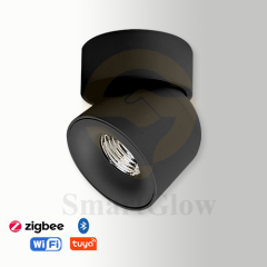 【SG726】3.3-inch Commercial Adjustable Black/White Round Surface Mounted LED Spotlight