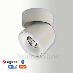 【SG726】3.3-inch Commercial Adjustable Black/White Round Surface Mounted LED Spotlight