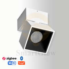 【SG728】3.1-inch Adjustable Dimmable Square Ceiling Surface Mounted Led Downlight