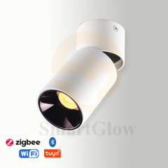 【SG729】2.7-inch Interior Adjustable Surface Mounted Cylindrical LED Anti Glare Downlights