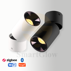 【SG729】2.7-inch Interior Adjustable Surface Mounted Cylindrical LED Anti Glare Downlights