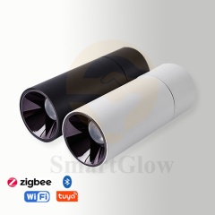 【SG729】2.7-inch Interior Adjustable Surface Mounted Cylindrical LED Anti Glare Downlights