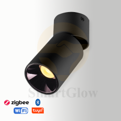 【SG729】2.7-inch Interior Adjustable Surface Mounted Cylindrical LED Anti Glare Downlights