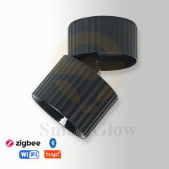 【SG720】2.3-inch Aluminium Adjustable Surface Mounted Thread Cylindrical LED Downlights