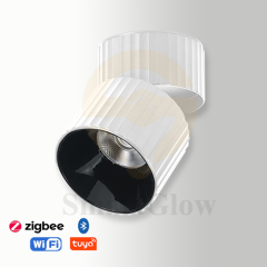 【SG720】2.3-inch Aluminium Adjustable Surface Mounted Thread Cylindrical LED Downlights
