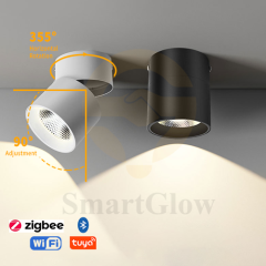 【SG731】Commercial 3-inch Adjustable Ceiling Surface Mounted Cylindrical LED Spotlights