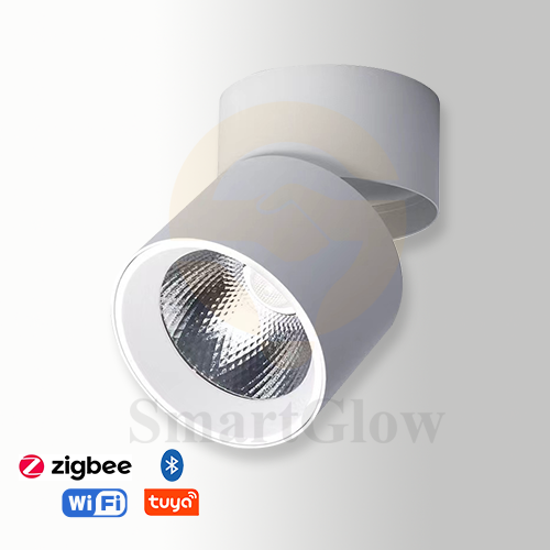 【SG731】Commercial 3-inch Adjustable Ceiling Surface Mounted Cylindrical LED Spotlights
