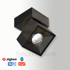 【SG732】2.9-inch Interior Adjustable Ceiling Surface Mounted Dimmable Square LED Spotlights