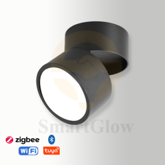 【SG734】Commercial Multi-head Round Surface Mounted Adjustable Led Flood Downlights