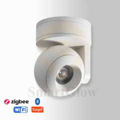 【SG735】3.1-inch Adjustable Eyeball Style Ceiling Surface Mounted Round LED Spotlights